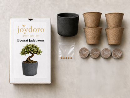 Lieferumfang für Jadebaum Bonsai Anzuchtset von joydoro