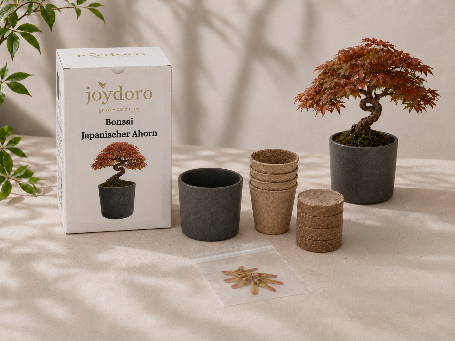 Bonsai Japanischer Ahorn Anzuchtset mit Samen, Töpfen, Pellets und Keramiktopf