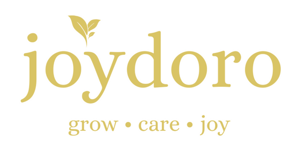 joydoro